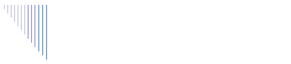 Chi  il perito
